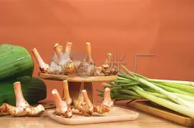 _跛-开云体育平台